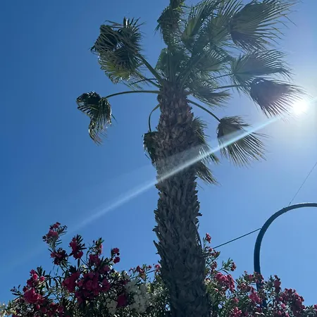 Seaside Serenity Apartamento Torrevieja