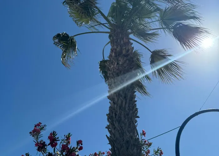 Seaside Serenity Apartment Torrevieja